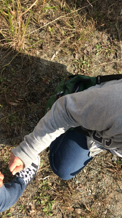 ★探検の時についてくるさコイツ★の記事動画