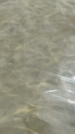 3次元を動かすと漏れなく5次元がついてくる 〜西伊豆編の記事動画