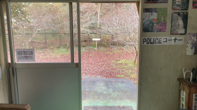 【秘境駅 坪尻駅】青春18きっぷの旅 Part.4(坪尻駅)の記事動画