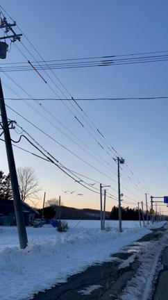 道東の大自然とグルメを満喫の記事動画