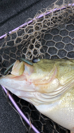 エアー抜きの方法  （動画）の記事動画