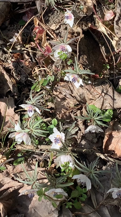 気長になるの記事動画