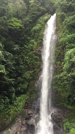 引き寄せ会社社長－1247日目（流されて楽しむ）の記事動画