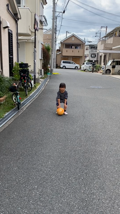 なでしこ②の記事動画