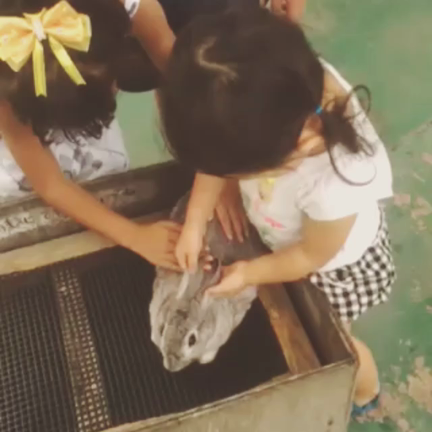 nonhoi park*の記事動画