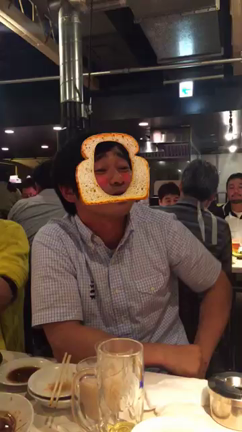 宝塚記念☆2016の記事動画