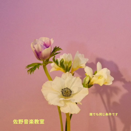 人としての記事動画