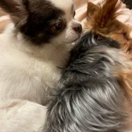 えるみちゃんとのおもひで…の巻の記事動画