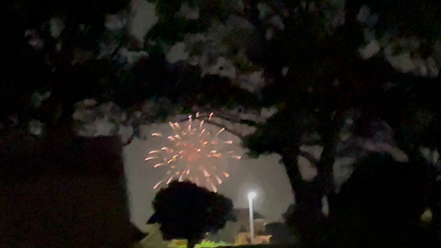 りなちゃんがやってきた！〜５ヶ月の記録③〜の記事動画