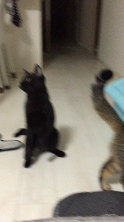 息があってますの記事動画