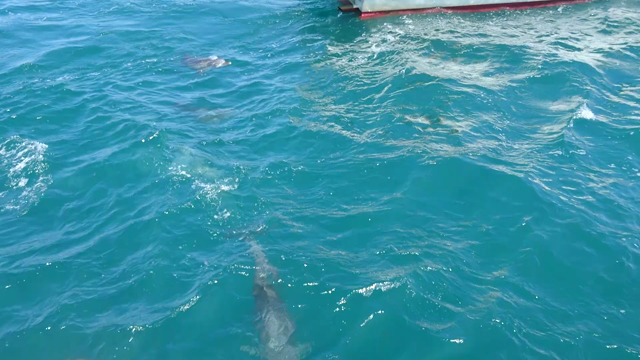 台風でもキスマイクマモト!!(結)の記事動画