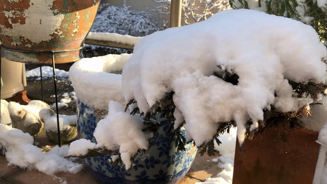 ぶるっと震える朝の記事動画