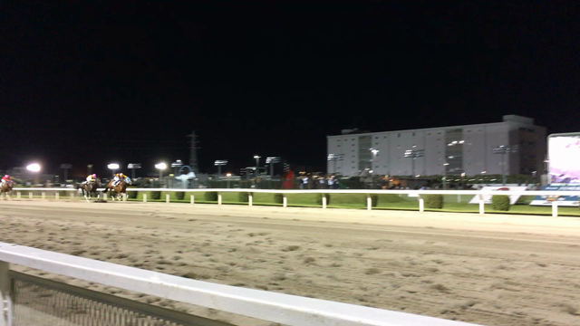 初めて競馬を見て来ました！の記事動画