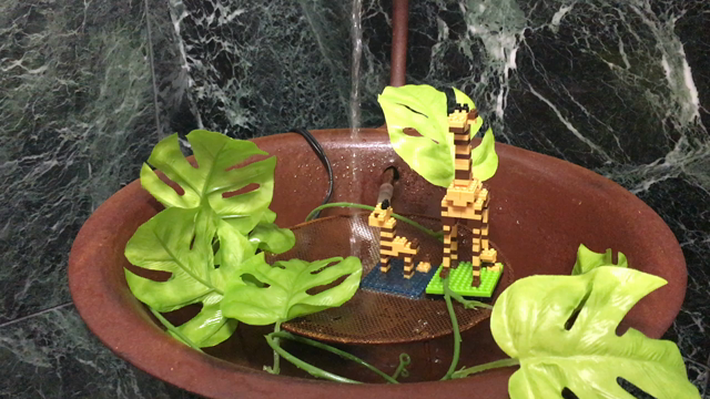 癒しの記事動画