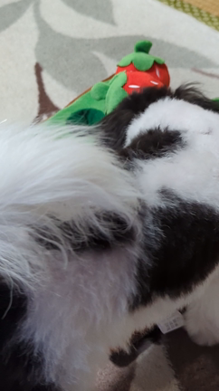 2023/09/04の記事動画