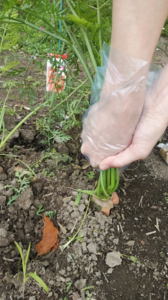 美味しいを提供したい気持ち満載の日々の記事動画