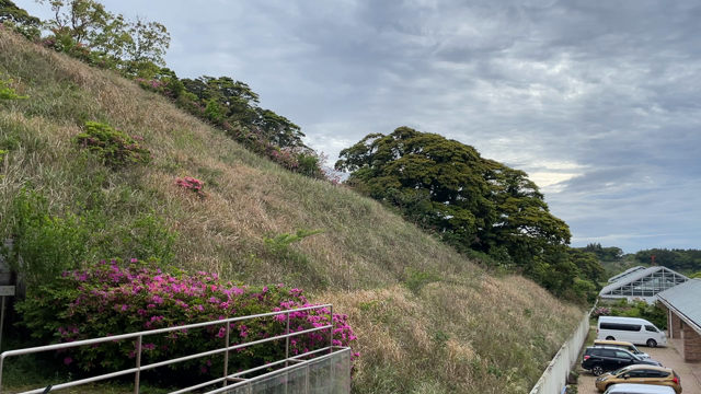 指宿「リヒト」は、新緑の季節の記事動画