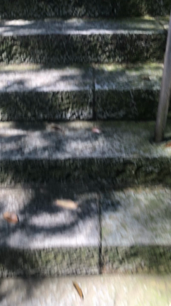 心のモヤモヤが浄化され、エネルギーが高まりましたの記事動画