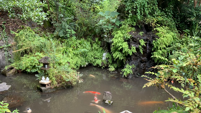 今日は既婚の彼と愛しあいたい、大ラッキーデー、オススメのアクション！の記事動画