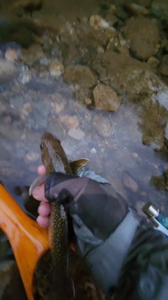 今シーズン釣り納めに行ってきました。の記事動画