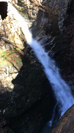 ある意味、自分との闘いだったのかも？？の記事動画