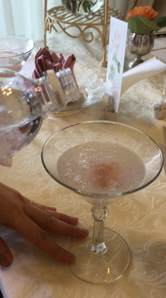 薔薇を楽しんできました♪♪の記事動画