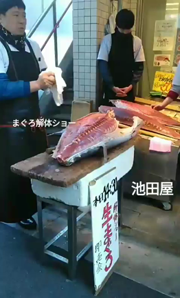 初競りのマグロ☆の記事動画