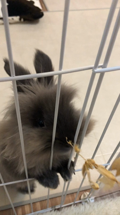 おやつタイム！！！の記事動画