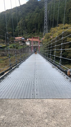 ラテとお出かけの記事動画