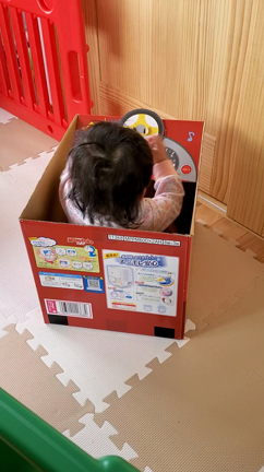 マミーポコカー いくみの生く道