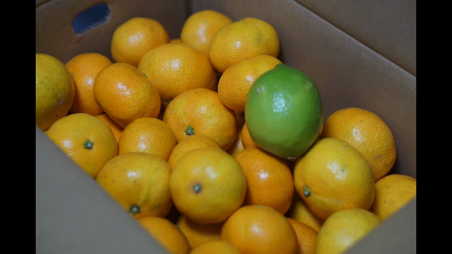 勝手にコラボの「勝手」が気になるHSP洞察系のお話。の記事動画