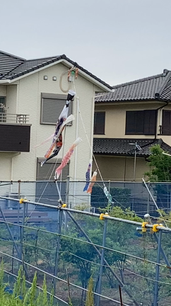 事件は現場で起きている！の記事動画