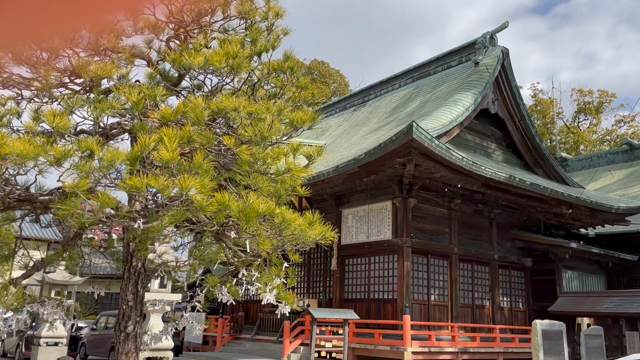 ほっとしました♪の記事動画