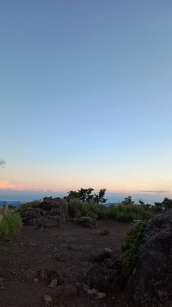 店長日記 朝駆け由布岳の記事動画