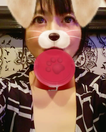 明けましておめでとう❗の記事動画