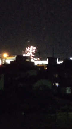 夏の風物詩の記事動画