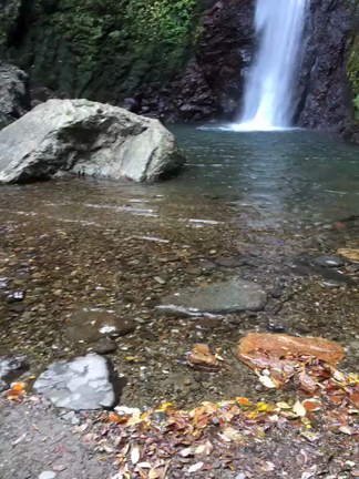 無題の記事動画