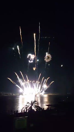 家出希望。の記事動画