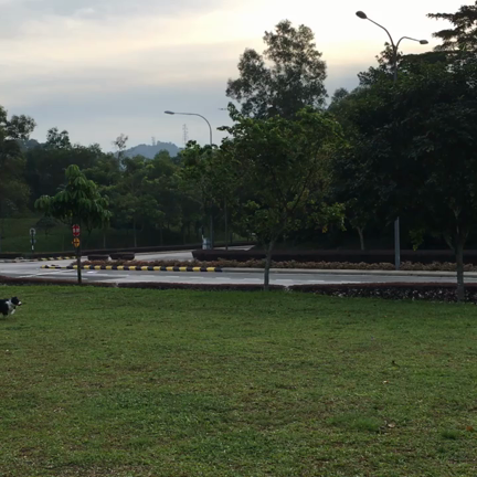 なな☆11歳の記事動画