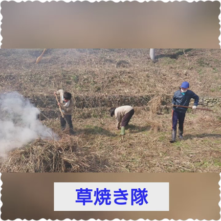 ファイヤーの記事動画