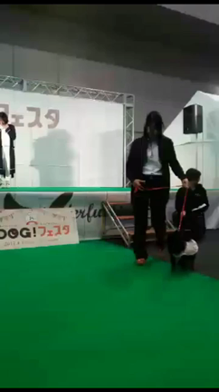 黒ポメ姫ちゃんドックフェスタその1の記事動画