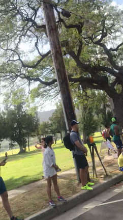 ハパルアマラソンへの旅in Hawaii＊①の記事動画