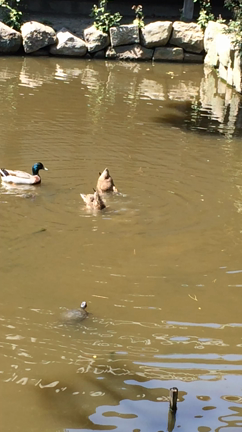 3泊4日+1の旅日記そのいちの記事動画