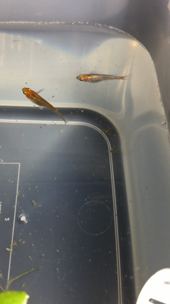 旦那さんの担当ねの記事動画