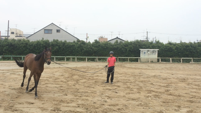 第二の馬生へ！の記事動画