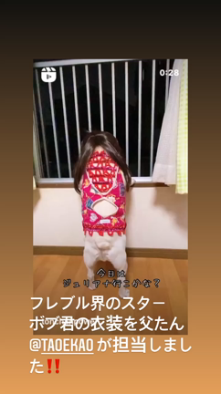 taoekao 他犬種のお洋服の記事動画