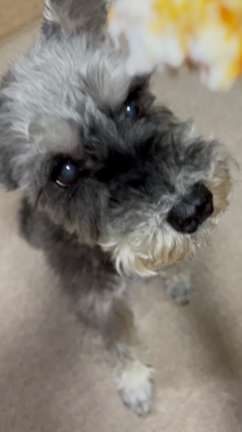 タケルHBDの記事動画