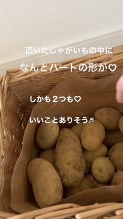 いいことがあるかも♬が当たった日♬の記事動画