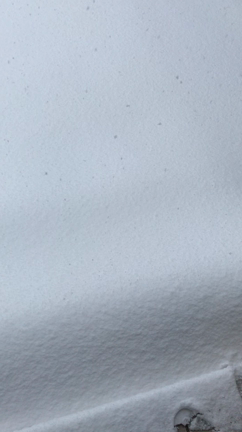 雪は苦手なあんこ。の記事動画