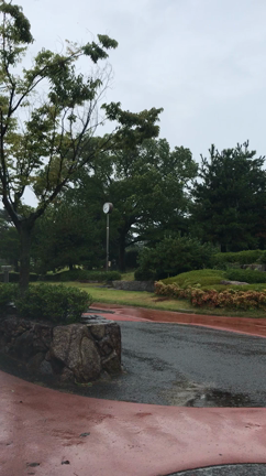 雨ゴルフの記事動画